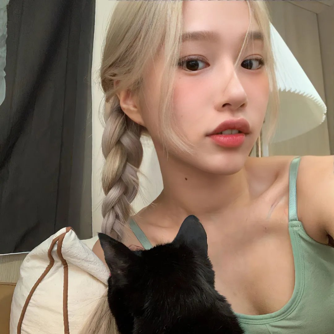 猫和老鼠旧版