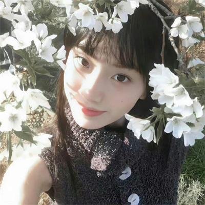 猴子捞月